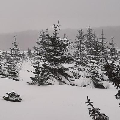 20210208_140424.jpg